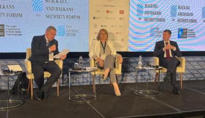 Participation of State Secretary Simona Cojocaru in the seventh edition of the Black Sea and Balkans Security Forum
