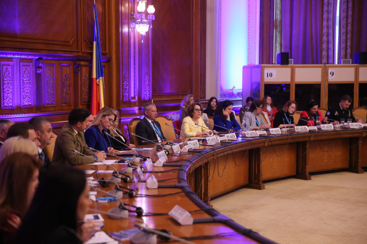 “Women, Peace and Security” Anniversary Conference